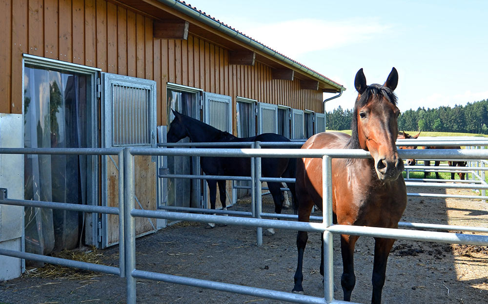 Streifenvorhang Stallbereich