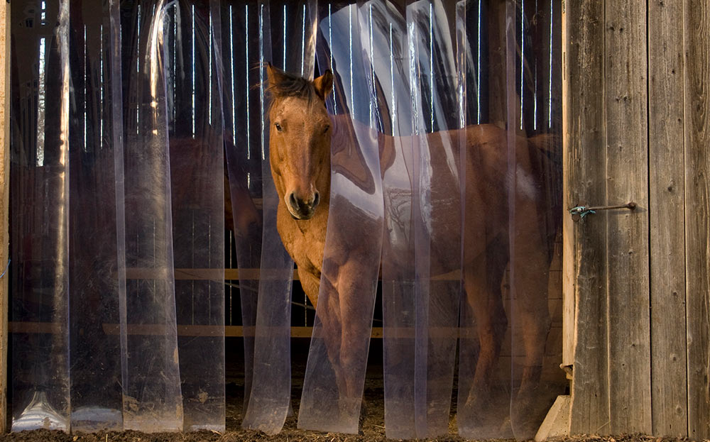 PVC Streifenvorhang Insektenschutz Stallungen