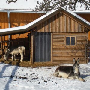 PVC Streifenvorhang Industrie – 2000 x 2500 mm