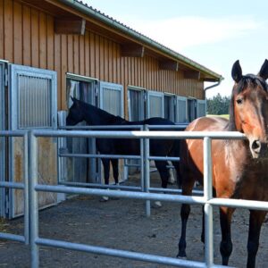 PVC Streifenvorhang Stall - 1500 x 2200 mm